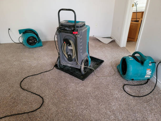 Carpet water damage restoration in Hildale, UT