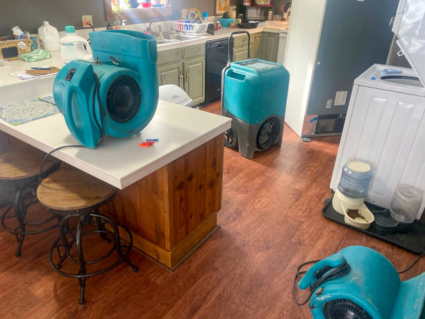Best 24-hour water damage restoration  in Hildale, UT