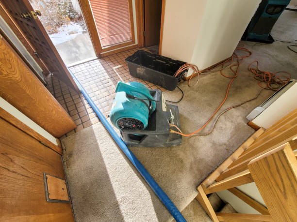 Best Local water damage restoration  in Hildale, UT