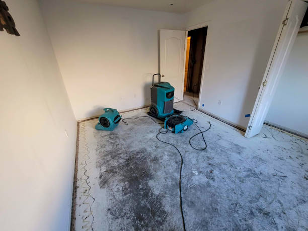 Water damage restoration mold remediation in Hildale, UT