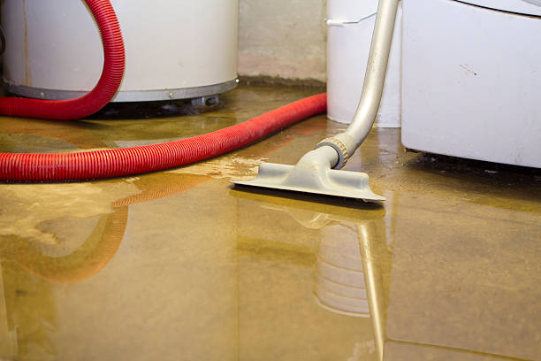 Best Water damage restoration near me  in Hildale, UT