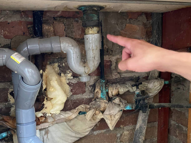 Professional Water damage restoration in Hildale, UT