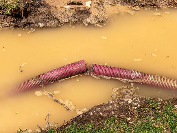 Best Flood restoration services  in Hildale, UT
