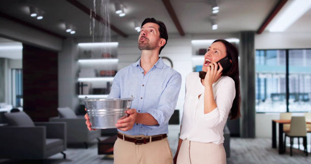 Best Sewage cleanup and water damage restoration  in Hildale, UT