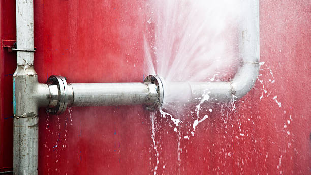Best Professional water damage repair  in Hildale, UT