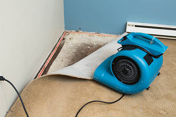 Best Sewage cleanup and water damage restoration  in Hildale, UT